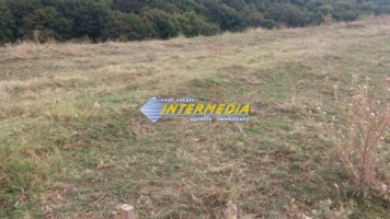 teren-de-vanzare-1153-mp-alba-micesti-partea-stanga-2